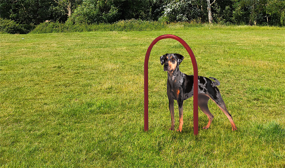 Dog Run Through Loop for Dog Parks 